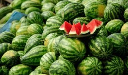 康县网红 吃瓜,揭秘网络热点的背后故事